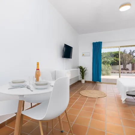 Flor De Hibisco Deluxe