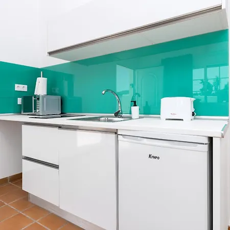 Flor De Hibisco Deluxe