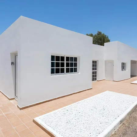 Flor De Hibisco Deluxe