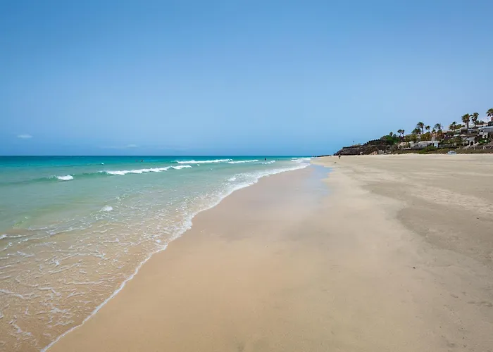 Flor De Hibisco Deluxe * Pajara (Fuerteventura)