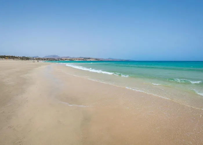 Flor De Hibisco Deluxe Apartment *