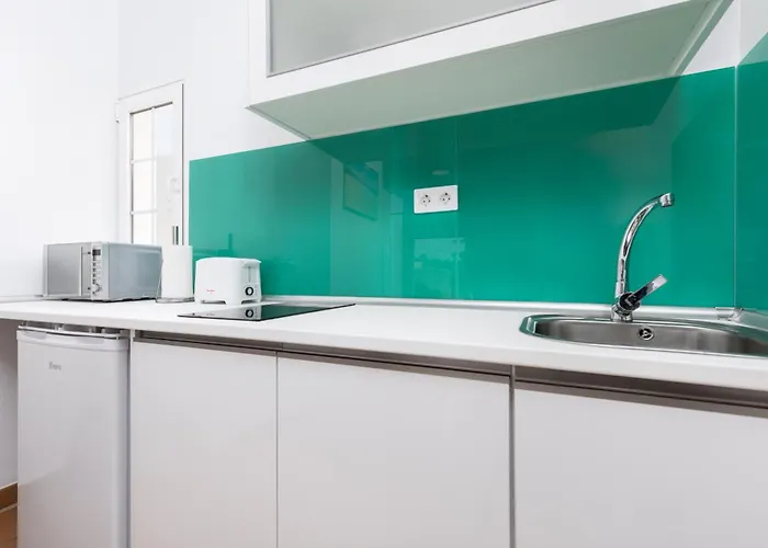 Flor De Hibisco Deluxe