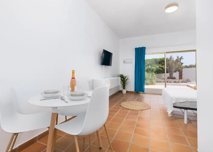 Flor De Hibisco Deluxe