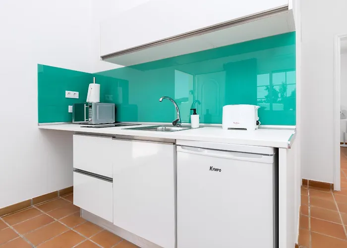 Flor De Hibisco Deluxe