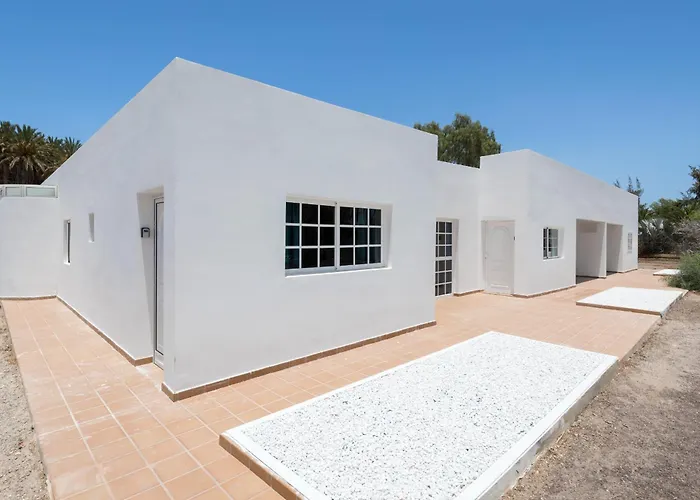 Flor De Hibisco Deluxe