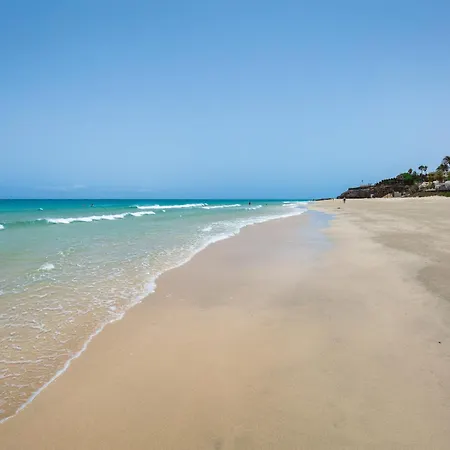 Flor De Hibisco Deluxe * Pájara