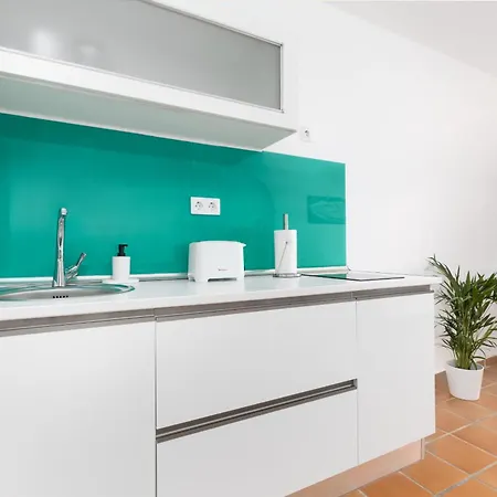 Apartamento Flor De Hibisco Deluxe