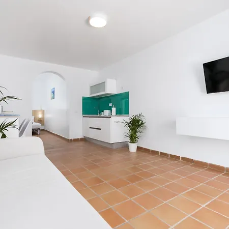 Flor De Hibisco Deluxe * Pájara