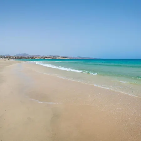 Flor De Hibisco Deluxe דירה *