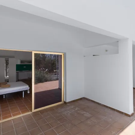 Flor De Hibisco Deluxe * Pájara